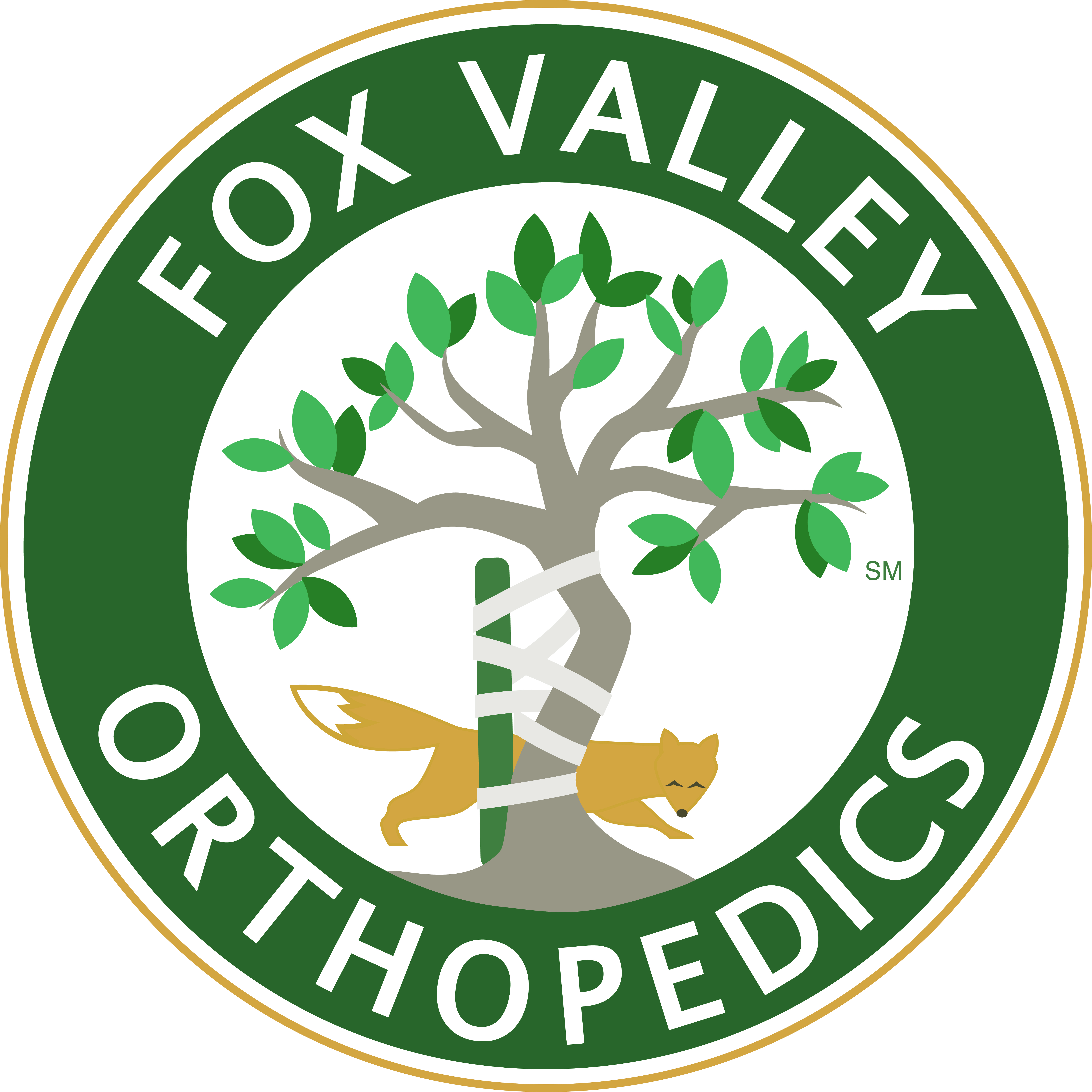Fox Valley Orthopedics