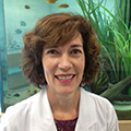Dr. Elaine Hamilton, MD