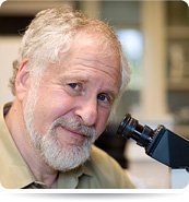 Dr. Irwin Bernstein