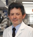 Dr. Malcolm Brenner, MD