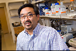 Dr. Christopher Park, MD, PHD