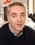 Dr. Massimo Loda, MD