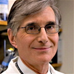 Dr. Peter Libby, MD