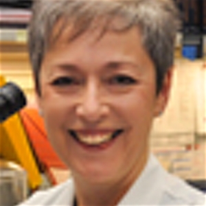 Dr. Robin Amirkhan, MD