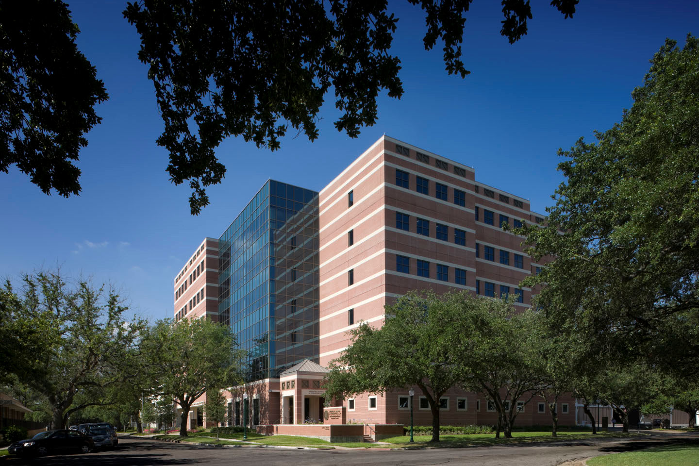 Dr. Mildred Mcafee, MD
