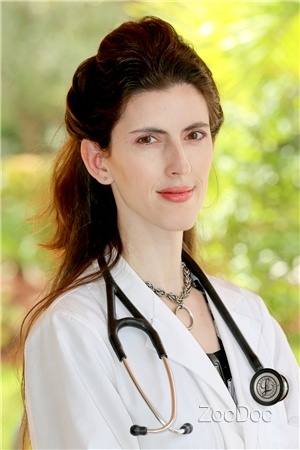 Dr. Bambi Petrinic, MD