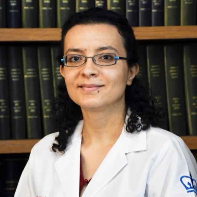 Dr. Hamed Abdelhakim Hamed, MD, PHD