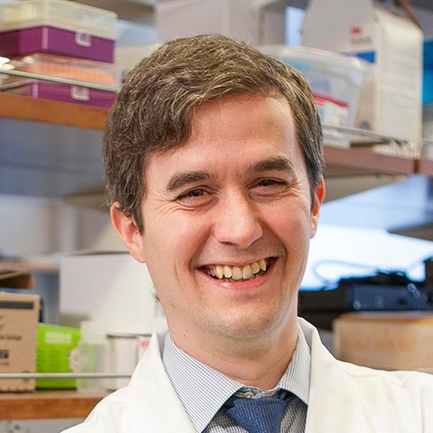 Dr. Conor Liston, MD, PHD