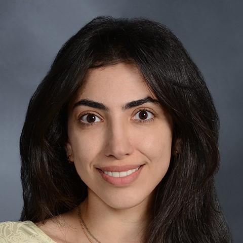 Dr. Diala Steitieh, MD