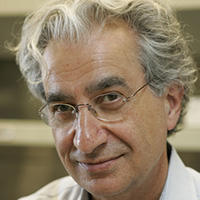 Dr. Qais Alawqati, MD