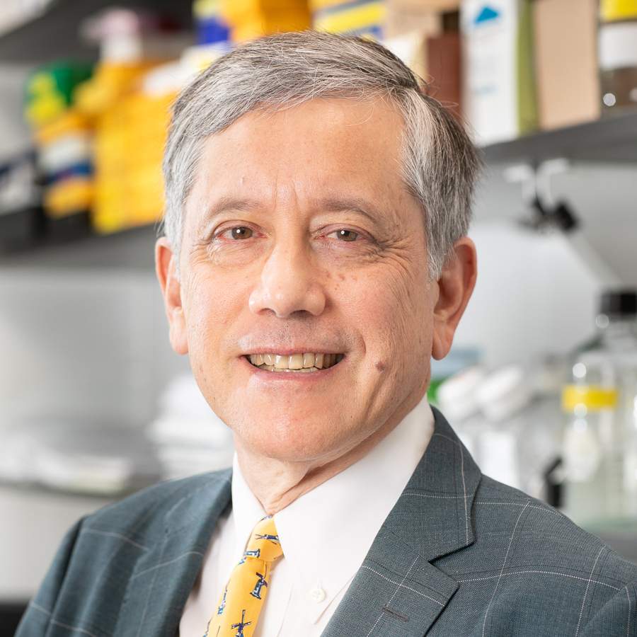 Dr. Timothy Wang, MD
