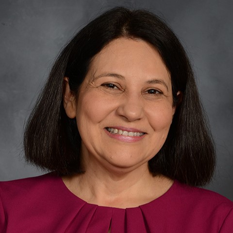 Dr. Vered Stearns, MD
